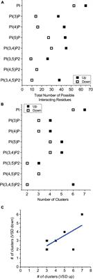 Computational Prediction of Phosphoinositide Binding to Hyperpolarization-Activated Cyclic-Nucleotide Gated Channels